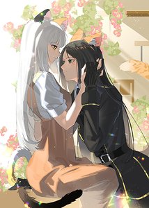 撿來的胖橘是帝國皇女